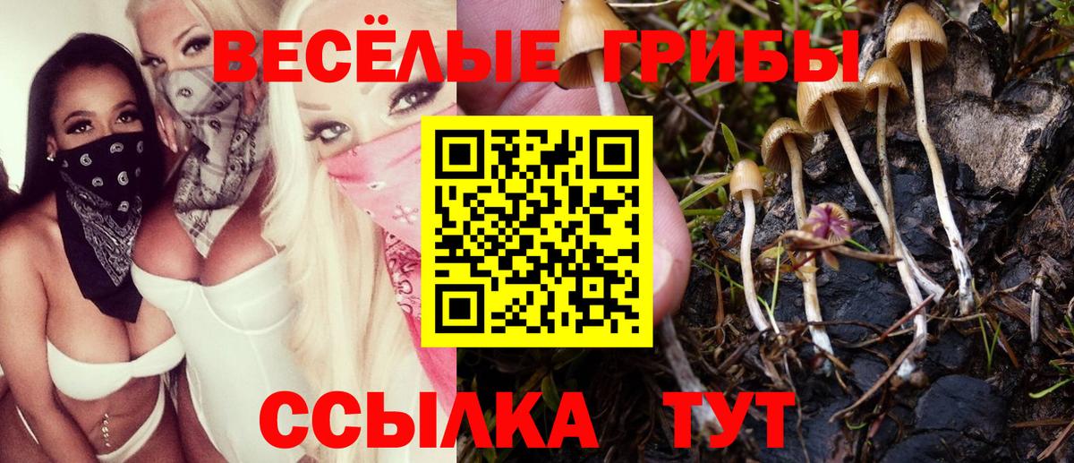 Псилоцибиновые грибы GOLDEN TEACHER Десногорск