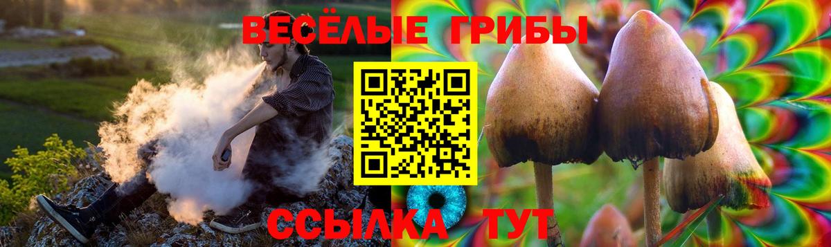 Галлюциногенные грибы Cubensis  Вход с VPN  Десногорск 